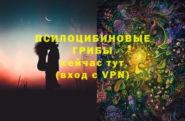 дурь Балахна